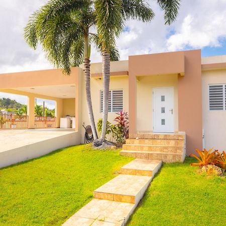 Arenales Vacational House Villa Isabela Ngoại thất bức ảnh